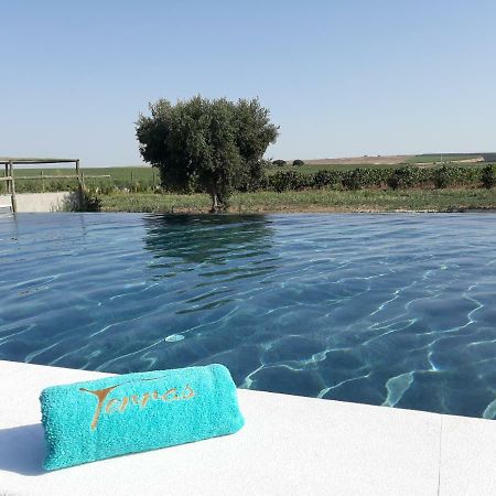 Terras - Agroturismo & Vinhos ベジャ エクステリア 写真