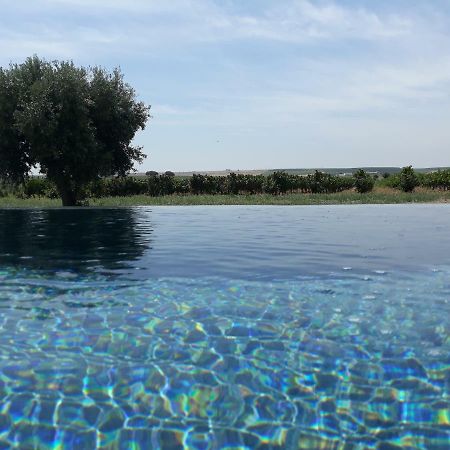 Terras - Agroturismo & Vinhos ベジャ エクステリア 写真