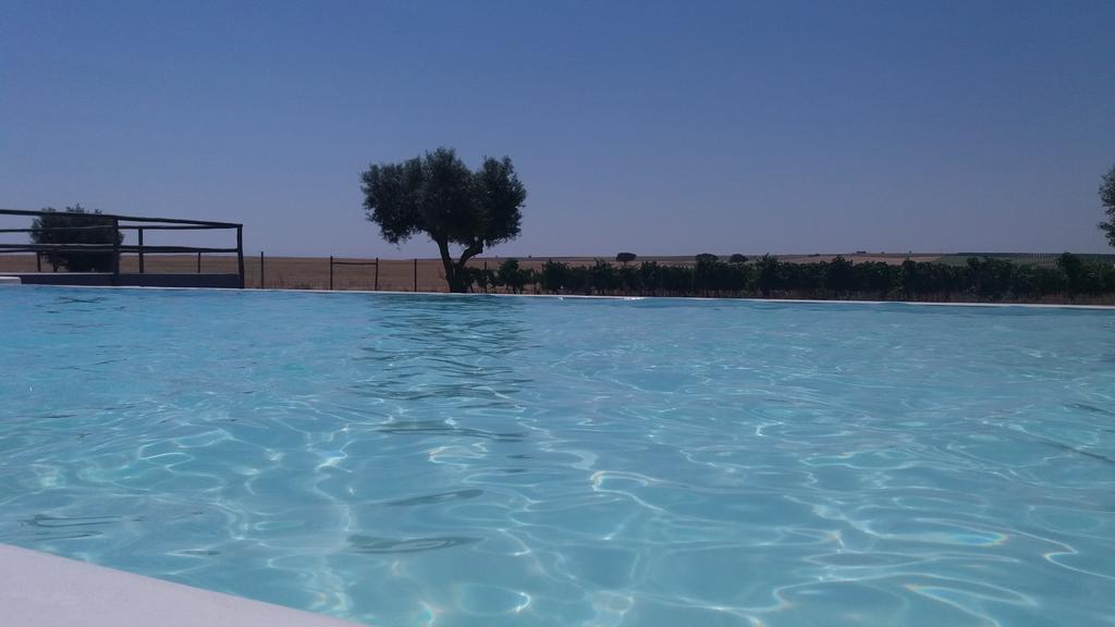 Terras - Agroturismo & Vinhos ベジャ エクステリア 写真