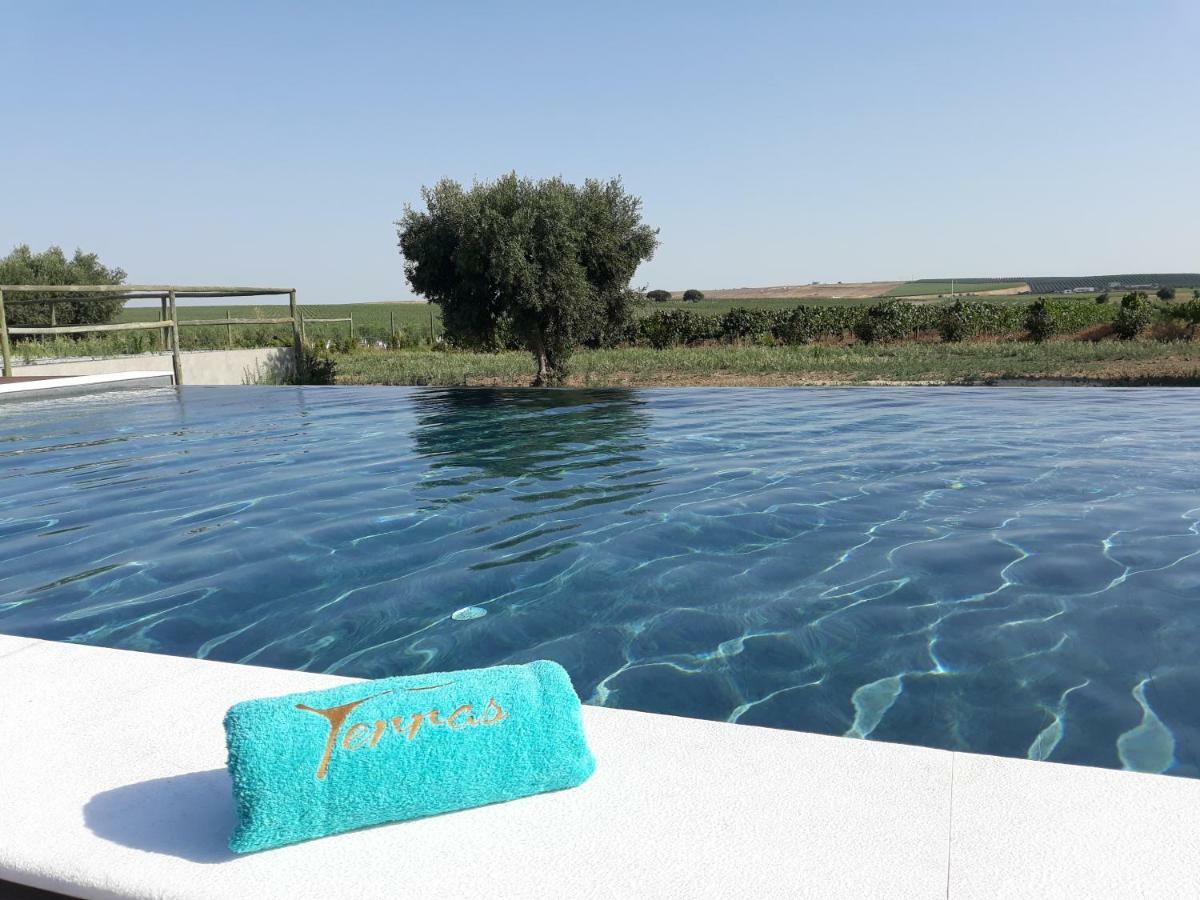 Terras - Agroturismo & Vinhos ベジャ エクステリア 写真