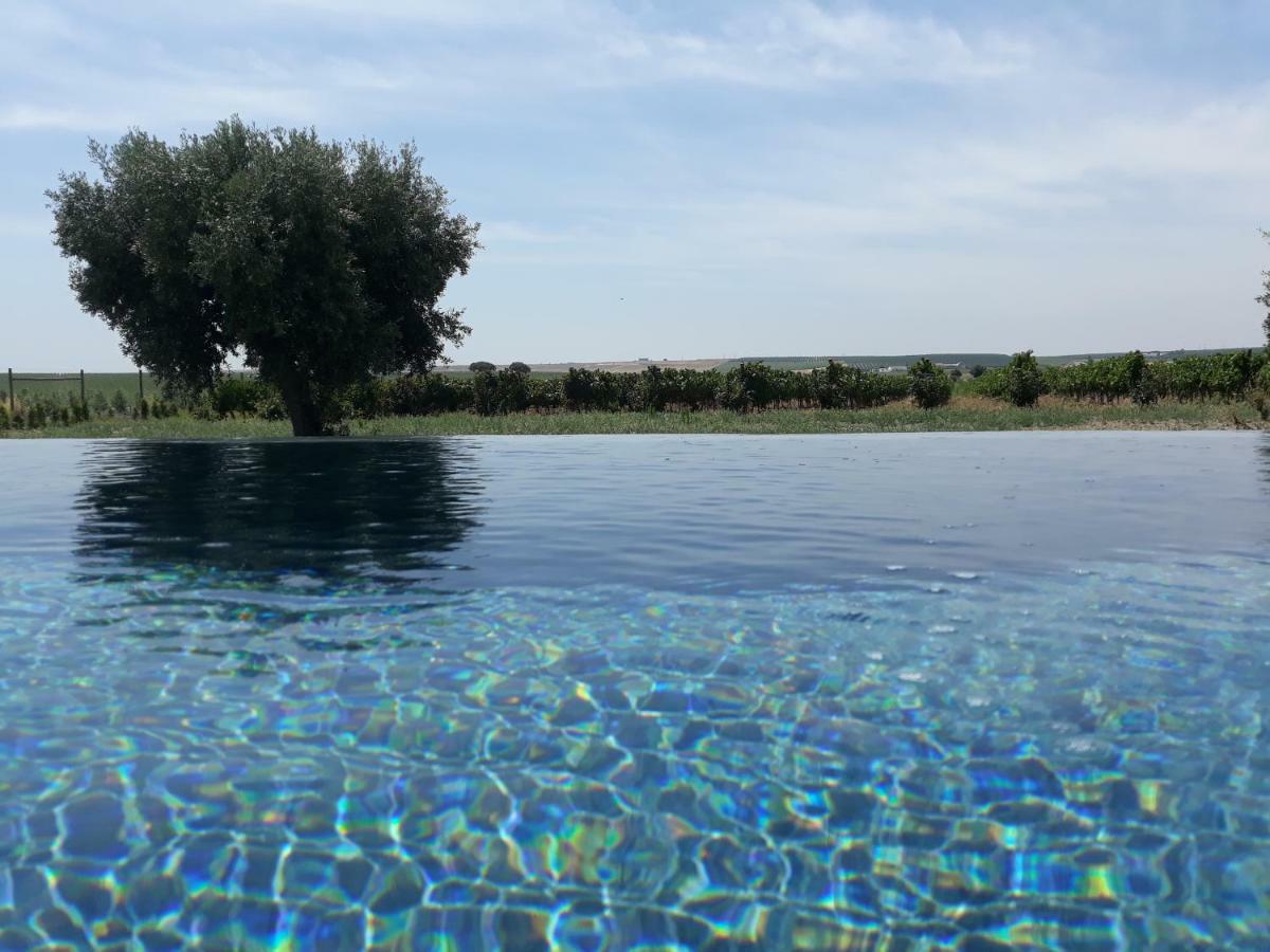 Terras - Agroturismo & Vinhos ベジャ エクステリア 写真
