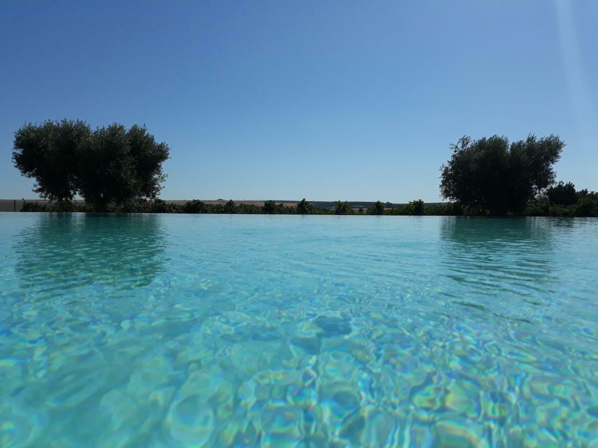Terras - Agroturismo & Vinhos ベジャ エクステリア 写真